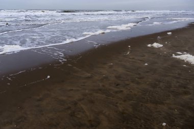 Görüntü Katwijk Beach, Hollanda