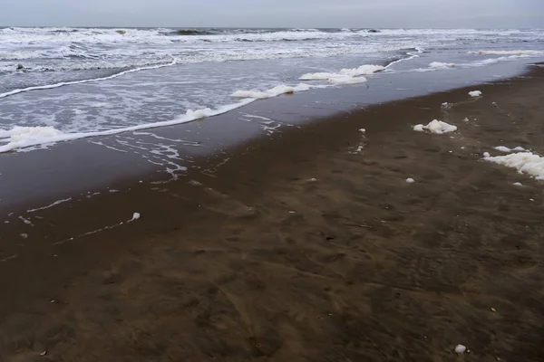 Görüntü Katwijk Beach, Hollanda