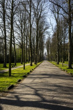 parkta sokak ve ağaç gölgeler