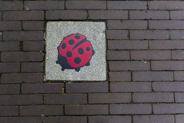 Lady bug on the brick road  in Goouda, Netherlands