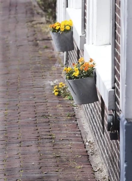 Passarela Pedestre Tijolo Vermelho Centro Leiden Países Baixos — Fotografia de Stock
