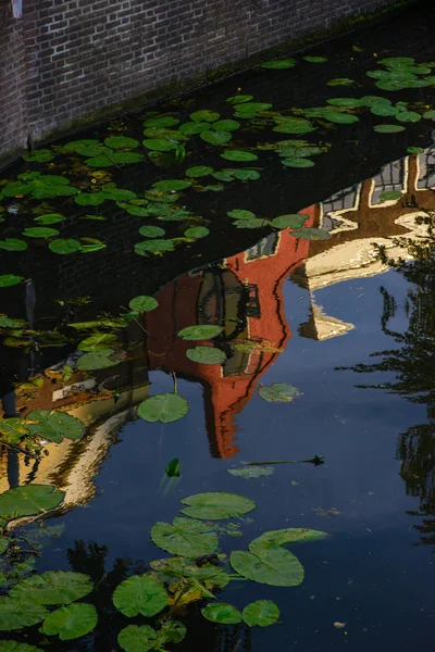 Отражение Типичных Голландских Домов Воде Канала — стоковое фото