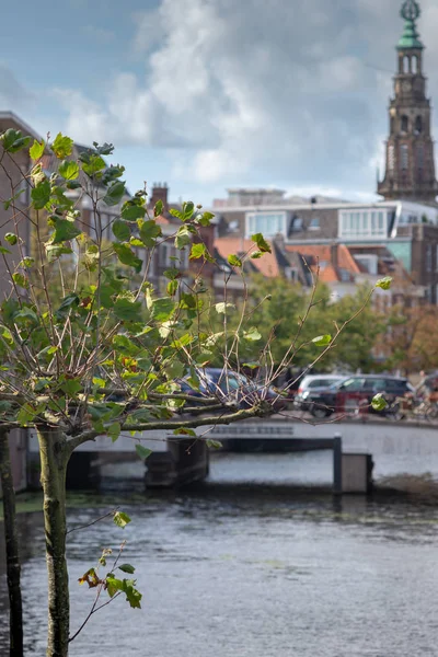 Recorte Árboles Imagen Panorámica Borrosa Ciudad Leiden Fondo —  Fotos de Stock