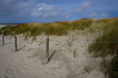 Hollandalı sahil tel, bulutlar, çim ve dunes