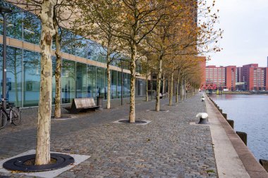 Rotterdam, yeni Meuse Nehri'nin güney kıyısında yer alan modern parçası 