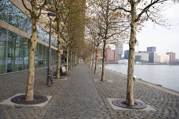 Modern Part Rotterdam Located South Bank New Meuse River — Stock Photo, Image