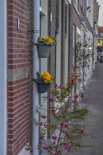 Leiden, Hollanda'nın sokak ve tuğla duvarları — Stok fotoğraf