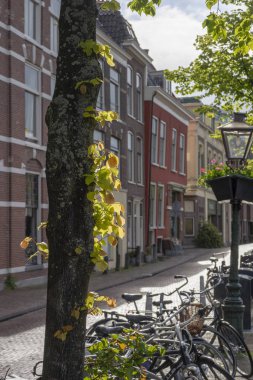 12 Mayıs 2019 Leiden, Hollanda, Geleneksel Hollanda cepheleri ve c