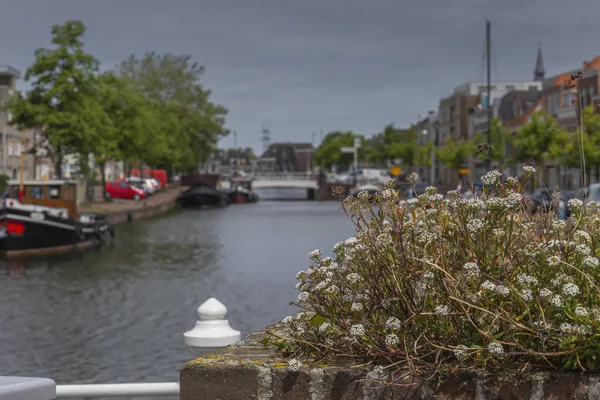 27 maja 2019; Leiden Holandia Panoramiczny widok na port w — Zdjęcie stockowe