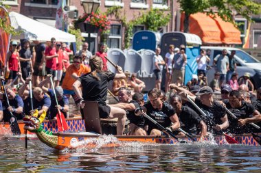 Leiden, Hollanda, 29 Haziran 2019: Geleneksel Kızıl Ejder Boa