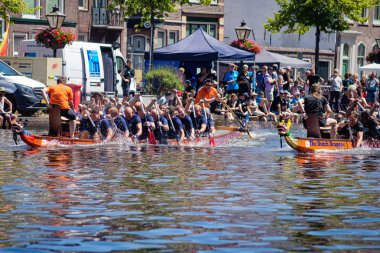 Leiden, Hollanda, 29 Haziran 2019: Geleneksel Kızıl Ejder Boa