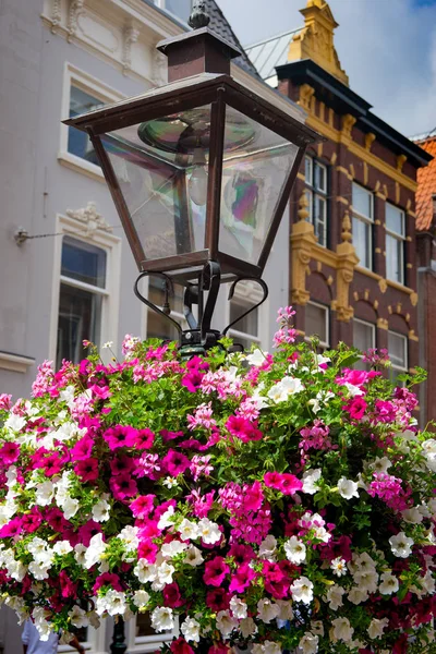 Цветы, лампост и традиционные голландские фасады на заднем плане — стоковое фото