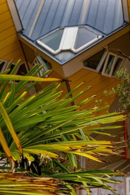 Rotterdam, Hollanda - 31 Mayıs 2019: Küp evler m ayarlanır