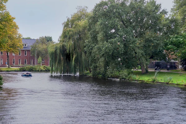 Saule pleureur près du canal à Leyde, Pays-Bas — Photo