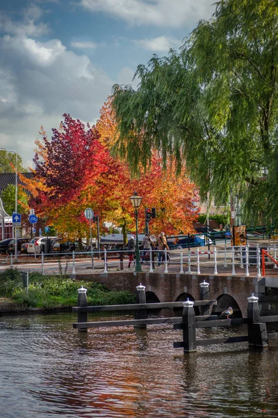 October 17, 2019  Leiden, Netherlands, Image of multi-colored tr — Stock Photo, Image