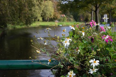 Görüntü Jan van Houtbrug Köprüsü, Leiden, Hollanda