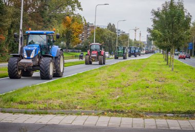 16 Ekim 2019 Leiden, Hollanda: Bu ay ikinci kez