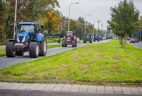 16 Ekim 2019 Leiden, Hollanda: Bu ay ikinci kez