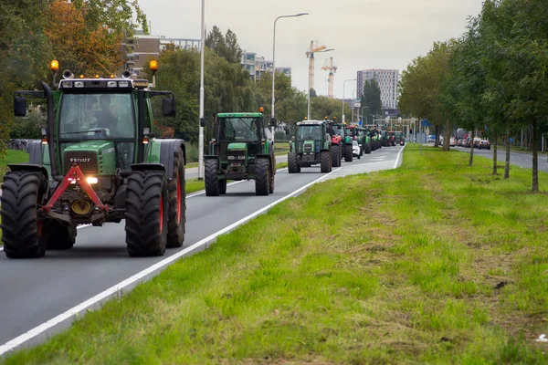 16 Ekim 2019 Leiden, Hollanda: Bu ay ikinci kez
