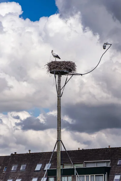 A stork in the nest and a safety camera on the children\'s playground