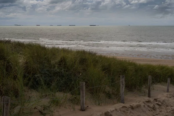Hollanda Katwijk plajındaki kum tepeleri, ufukta kruvazörler ve tankerler var.