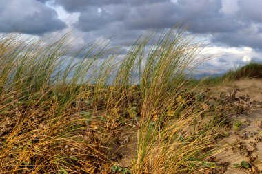 Katwijk beac 'ın görüntüsü