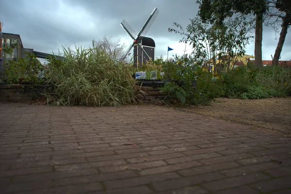 Flowers Blurry Image Molen Put South Netherlands Landmark Rembrandt Windmill — стоковое фото