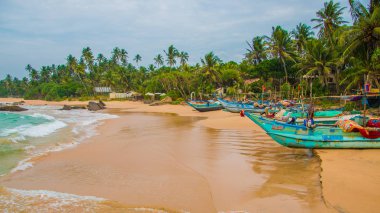 Bakir tropik sahil. Sri Lanka tatil tropikal. Hikkaduwa. Ambalangoda.