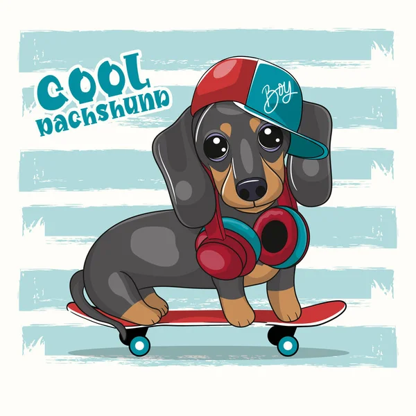 Χαριτωμένο Καρτούν Dachshund Skateboard — Διανυσματικό Αρχείο