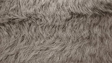 Güzel gri kürklü arka plan