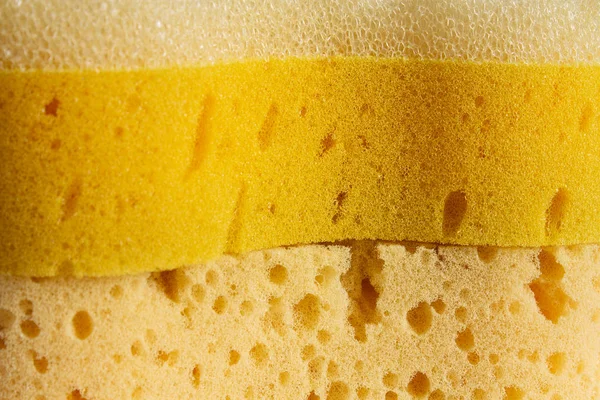 sponge texture close-up