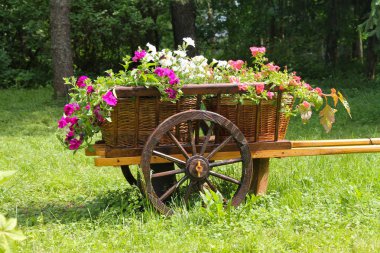 renkli çiçekler çiçek yatakta. Çayır çiçeklerle hasır sepet