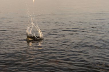 gün batımında denizde su büyük güzel sıçrama. doğal masaüstü arka plan