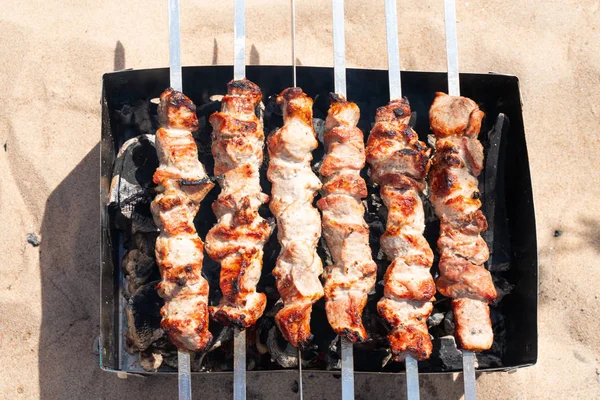 pieces of meat on skewers fried on the grill. picnic and outdoor recreation