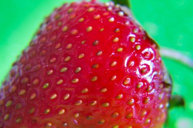 yeşil arka plan üzerinde kırmızı olgun çilek berry closeup