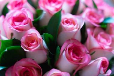 arka plan veya tebrik kartı olarak güzel pembe ve krem gül buket