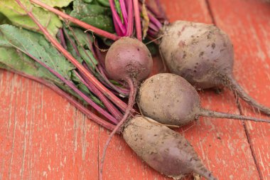 eski bir vintage ahşap masada taze pancar. rustik tarzda arka plan