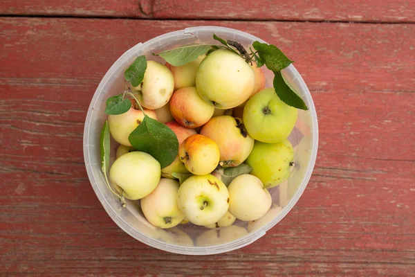 Свежие зеленые яблоки с листьями в ведре на деревянном столе — стоковое фото