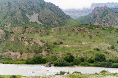 Güneşli bir nehri olan güzel bir dağ vadisi. 