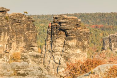 Saksonya ile sonbaharda Bastei dağ güneş ile Elbe kumtaşı Dağları. Kaya oluşumu ve ağaçlar sonbahar güneş tarafından aydınlatılmış.