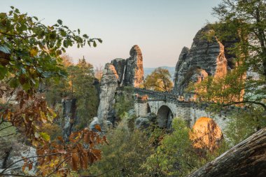 Sakson İsviçre Ulusal Parkı akşam güneşi Bastei Köprüsü. Ağaçlar sonbahar renkleri ve kaya oluşumları ve eski ağaç gövdesi ve ön planda yaprakları ile Elbe kumtaşı Dağları