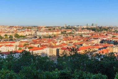 Prag 'ın çatıları ve tarihi binaları üzerine panoramik manzara. Güneşli bir günde Çek Cumhuriyeti' nin başkenti. Ön planda ağaçlar ve çalılar var.