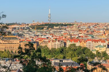 Prag 'ın çatıları ve tarihi binaları, Çek Cumhuriyeti' nin başkenti, güneşli bir günde mavi gökyüzü ve ön planda çalılarla birlikte televizyon kulesi.