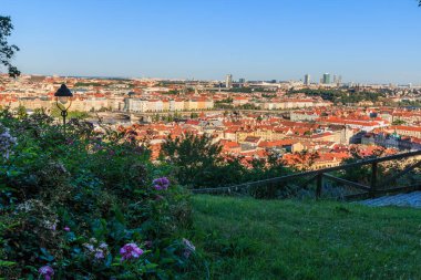 Prag 'daki Mala Strana bölgesinin çatıları ve tarihi binaları panoramik açıdan görülüyor. Ön planda mor çiçekli yeşil bir alan ve güneşli bir günde sokak lambası. Ağaçlar ve çalılar ön planda.