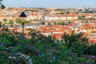 Prag 'ın Mala Strana semtinin çatıları ve tarihi binaları üzerinde yeşil alan, leylak çiçekleri ve sokak lambaları ön planda ağaçlar ve çalılarla dolu güneşli bir günde