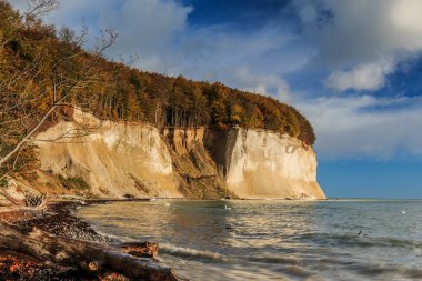Ruegen adasında tebeşir kayalıkları olan Jasmund Ulusal Parkı. Güneş ışığı ve mavi gökyüzü Baltık Denizi kıyısında bulutlarla. Ağaçlar ve sahil kesimi sonbahar havasında