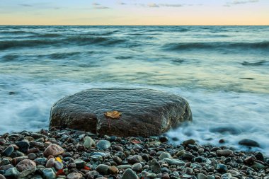 Ruegen Adası 'ndaki Baltık Denizi kıyılarında güneş doğduktan sonra sabah küçük dalgalarla. Taşlı plaj bölümünde yaprakları olan büyük bir taş.
