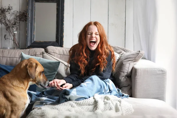 Redhead woman laughing while a dog eat from her hand
