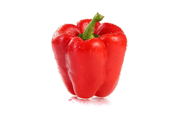 Paprika Rouge Saupoudré Eau Sur Fond Blanc — Photo