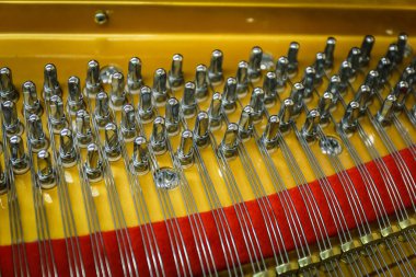 Dizeleri ve yapısı gösteren bir kuyruklu piyano içinde yakın çekim görüntü